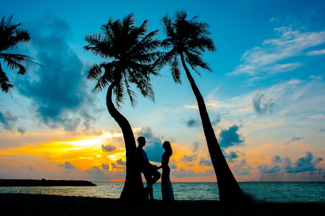 A man and a woman standing under palm trees 